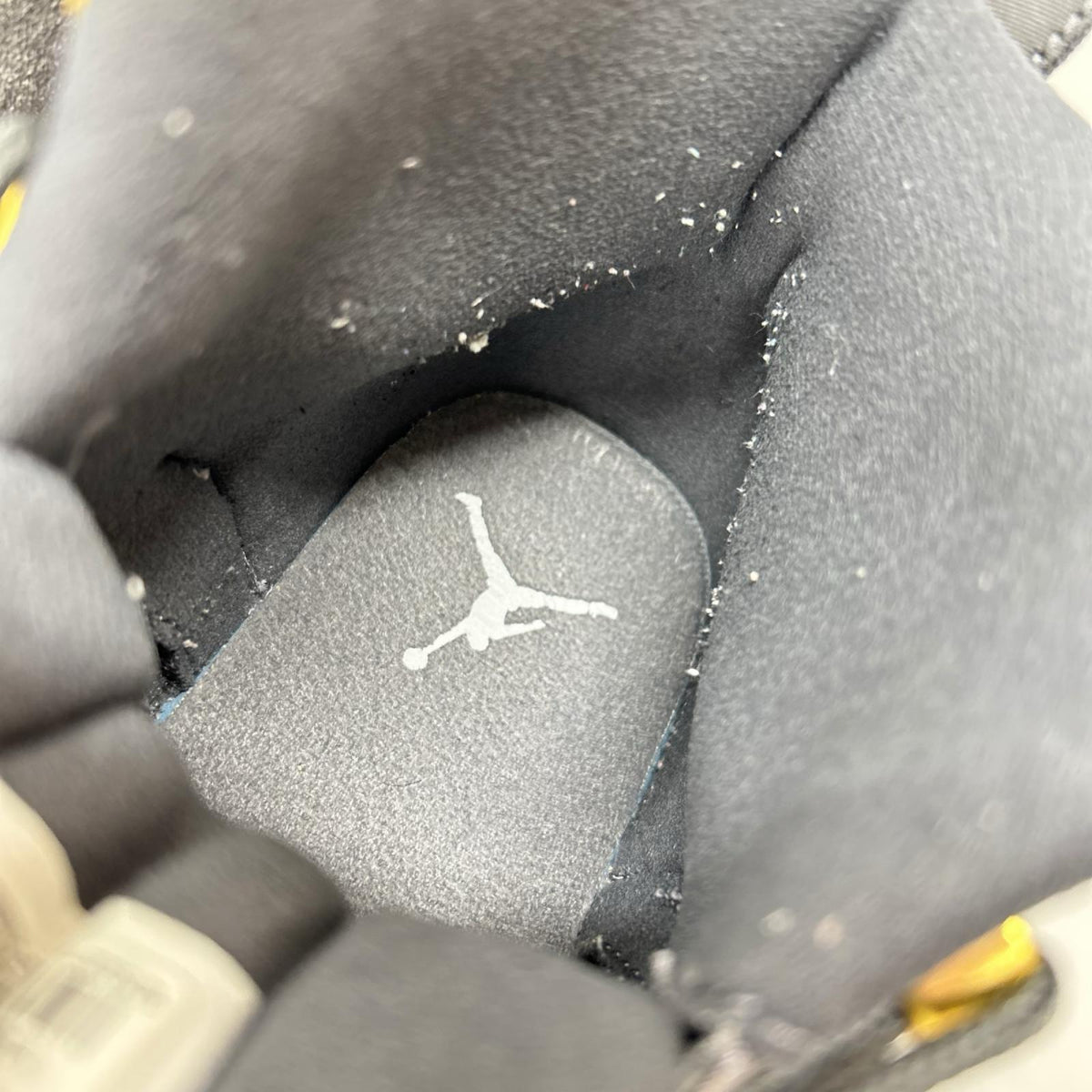 スニーカー AIR JORDAN 12 RETRO DARK GREY 29.0cm 29cm (US11 UK10 1/2 EU48) グレー