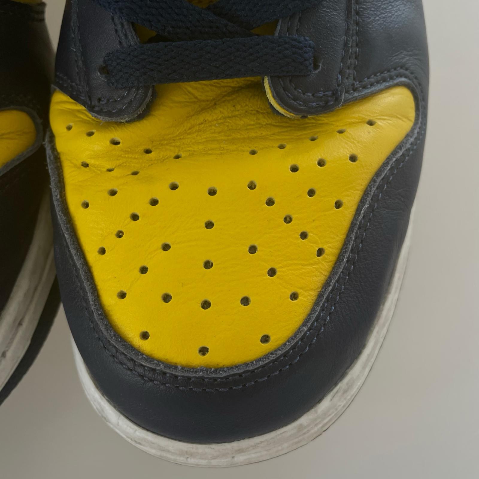 スニーカー DUNK HI MICHIGAN (28.5cm) 28.5cm (US10 1/2 UK10 EU47)