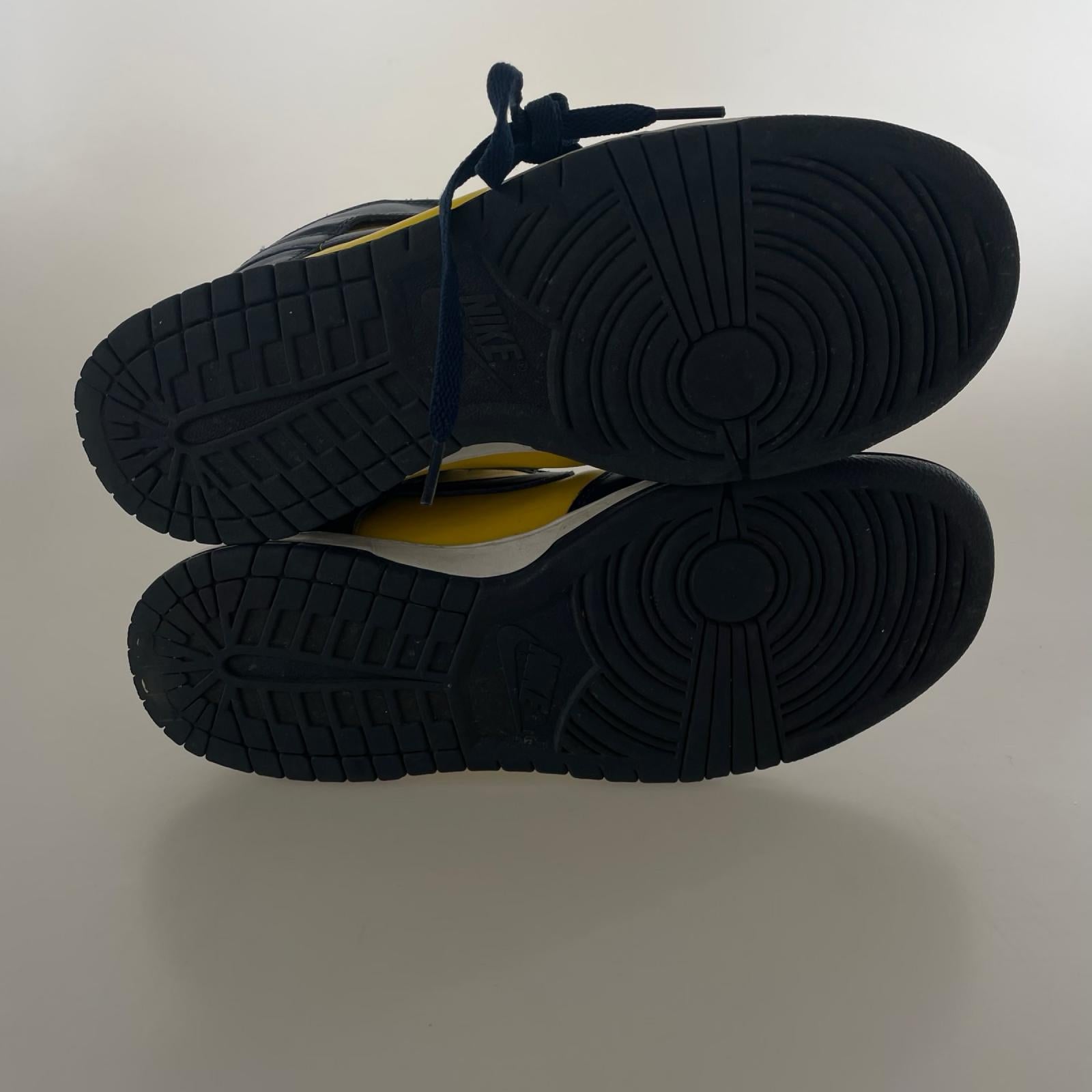 スニーカー DUNK HI MICHIGAN (28.5cm) 28.5cm (US10 1/2 UK10 EU47)
