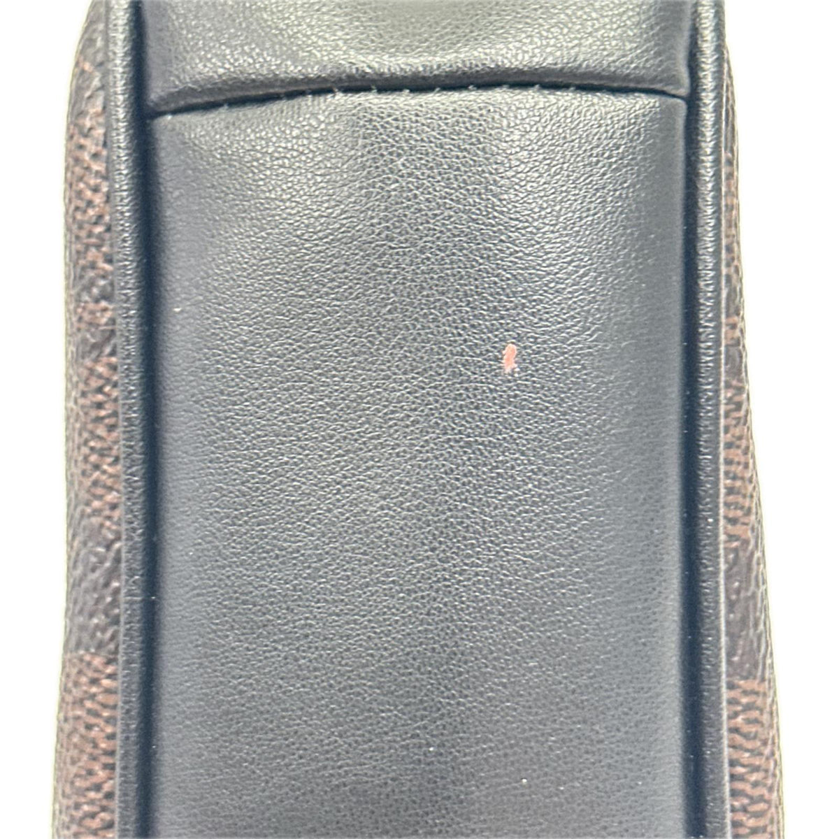COACH ﾐﾆ ｸﾛｽﾎﾞﾃﾞｨﾊﾞｯｸﾞｼｸﾞﾈﾁｬｰ ｷｬﾝﾊﾞｽ
