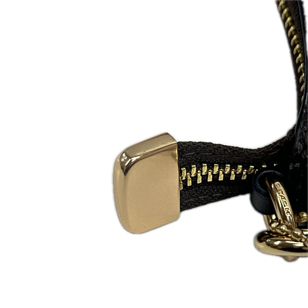 COACH ﾐﾆ ｸﾛｽﾎﾞﾃﾞｨﾊﾞｯｸﾞｼｸﾞﾈﾁｬｰ ｷｬﾝﾊﾞｽ
