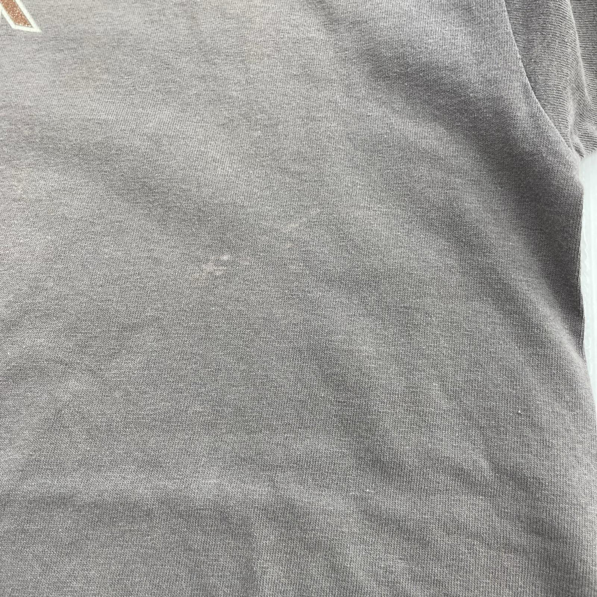 半袖Ｔシャツ 90s BLINK 182 バンドTシャツ (XL) 1997年コピーライト L グレー