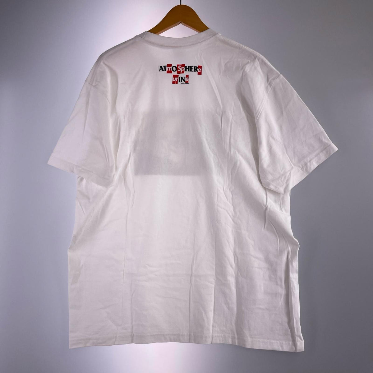 半袖Ｔシャツ 20AW ANTIHERO Ice Tee ﾎﾜｲﾄ　（L) L ホワイト