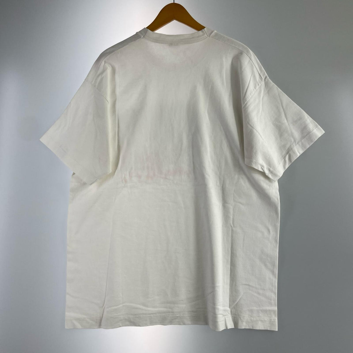 半袖Ｔシャツ 90S USA製 A Day in the Wilderess 白 (XL) ホワイト