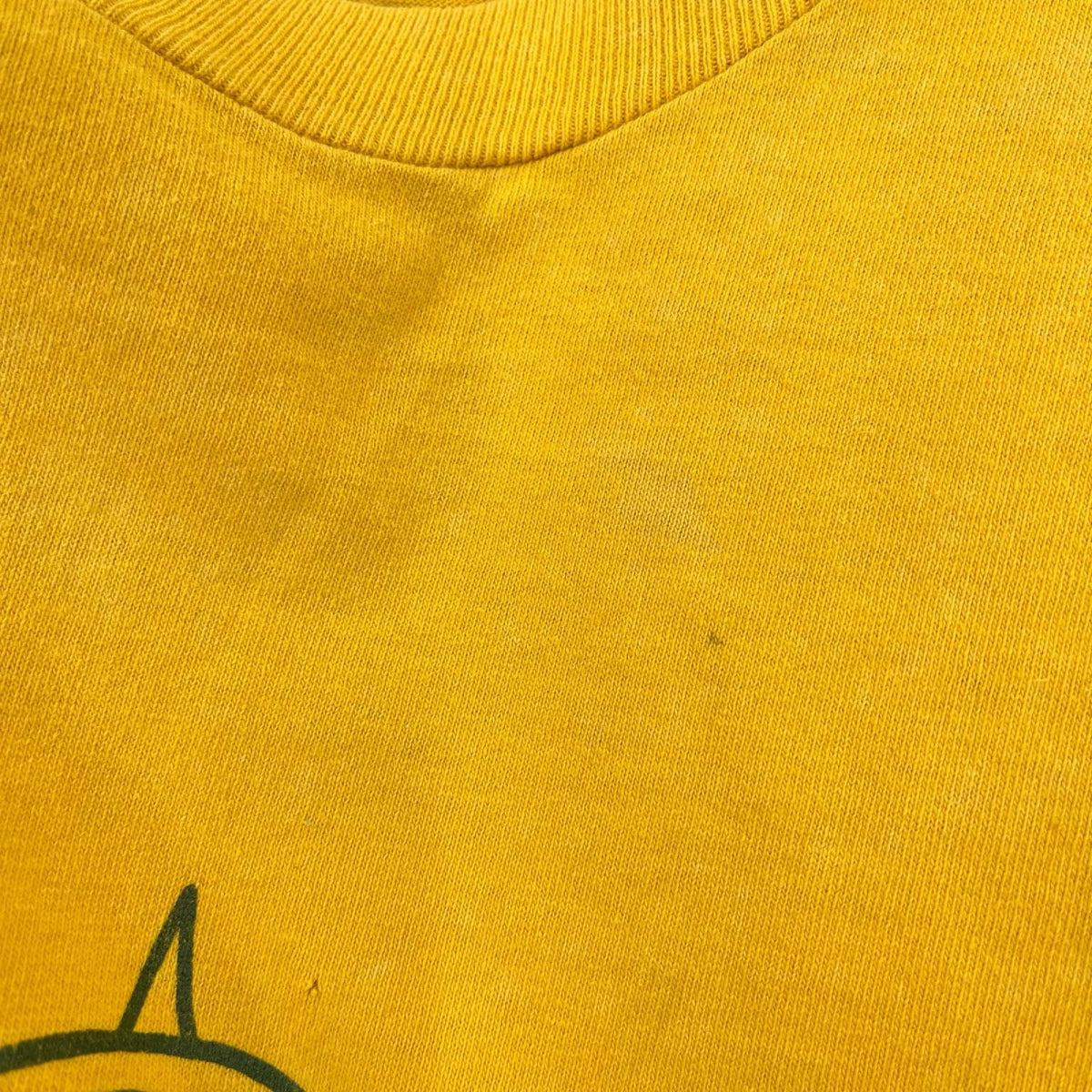半袖Ｔシャツ 90S ﾌﾙｰﾂﾀｸﾞ ｶﾅﾀﾞ製 黄 (L) L イエロー