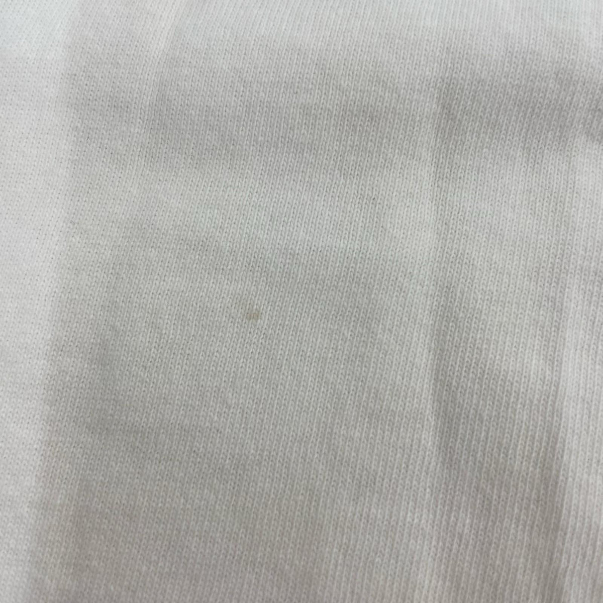 長袖Ｔシャツ 22AW SATAN L/S Tee (XL) 白 LL ホワイト