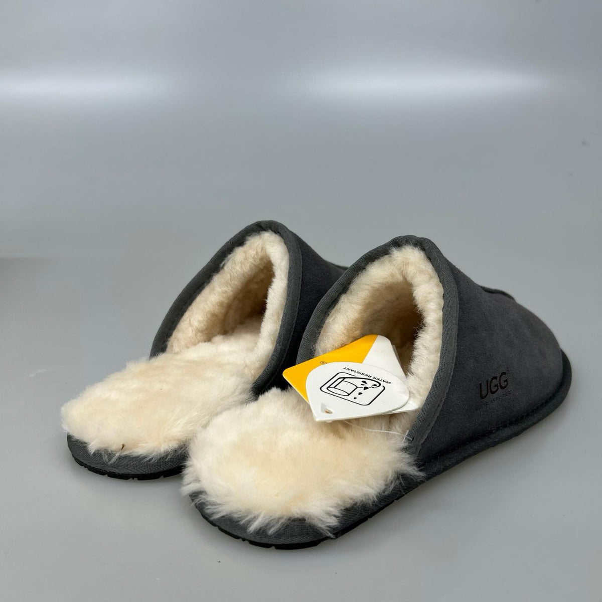 その他靴 Australian Shepherd/Slipper/GRY/42 グレー