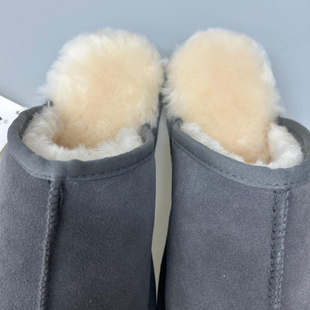 その他靴 Australian Shepherd/Slipper/GRY/42 グレー