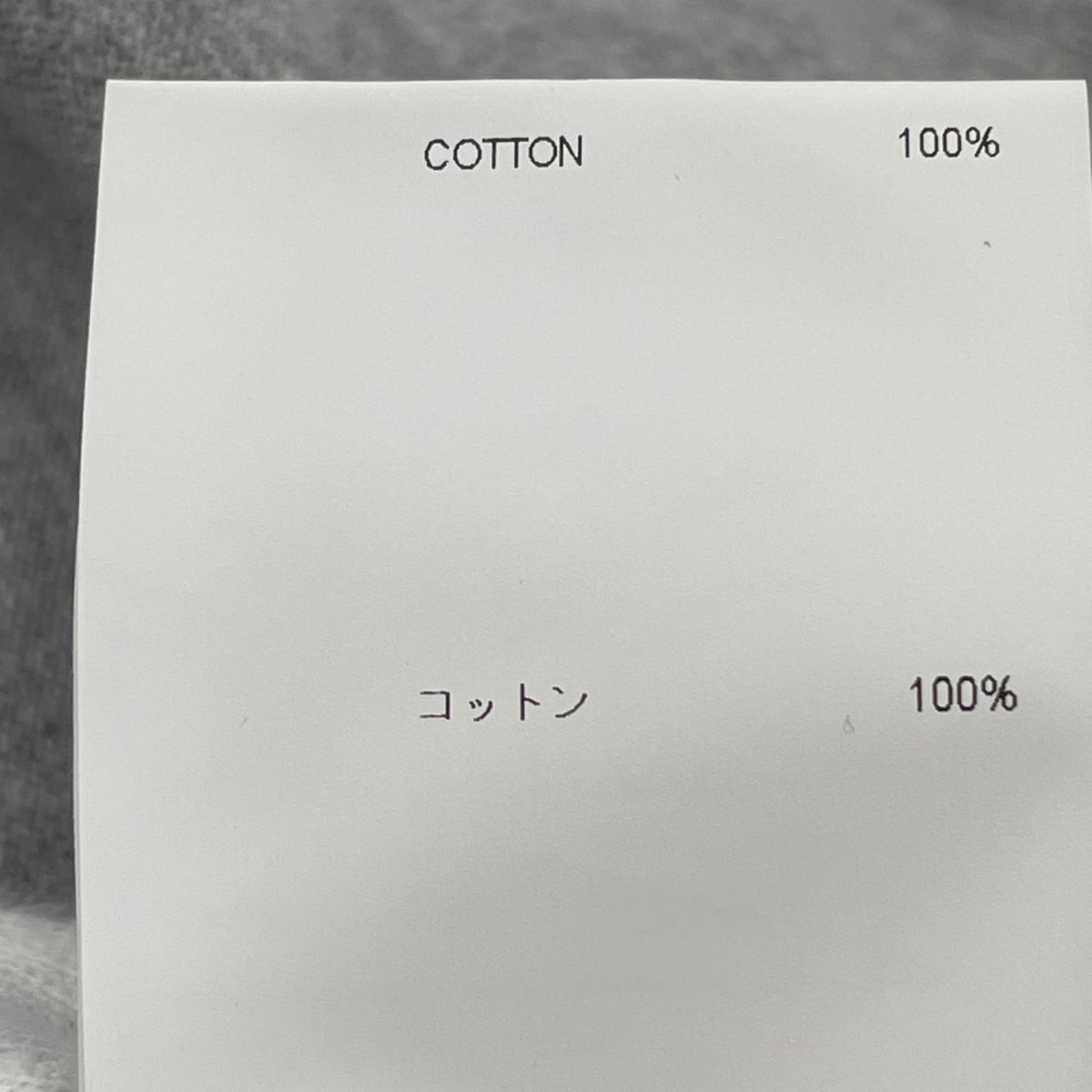 長袖Ｔシャツ IAN/LS/COTTON 252ATDT-CSM06 (3)