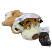 ディズニーストア ピーターパン ナナ ポシェット フィギュア/グッズ