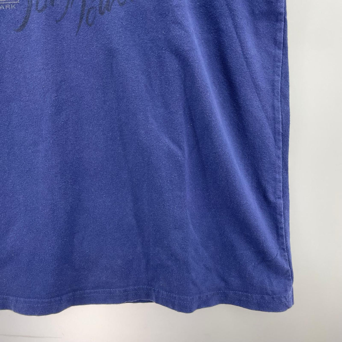 半袖Ｔシャツ Tombstone Tee L ブルー