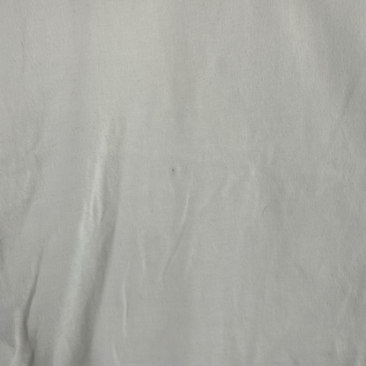 半袖Ｔシャツ ﾜｯﾍﾟﾝ L WHT L ホワイト