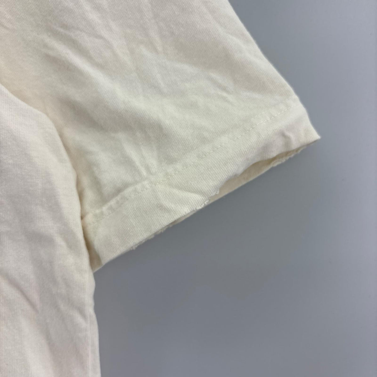 半袖Ｔシャツ ﾊﾞｯｸﾞﾘﾊﾞｰｽﾛｺﾞTee ｱｲﾎﾞﾘｰ L