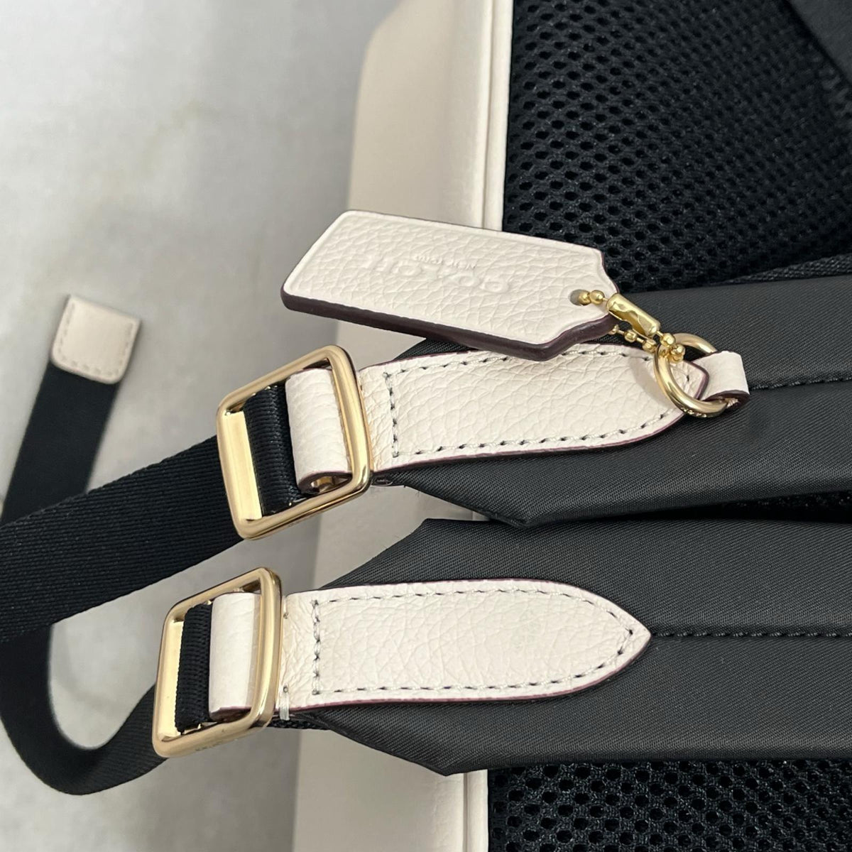 COACH ｼｸﾞﾈﾁｬｰ ﾘｭｯｸｻｯｸ ｱｲﾎﾞﾘｰ CZ176