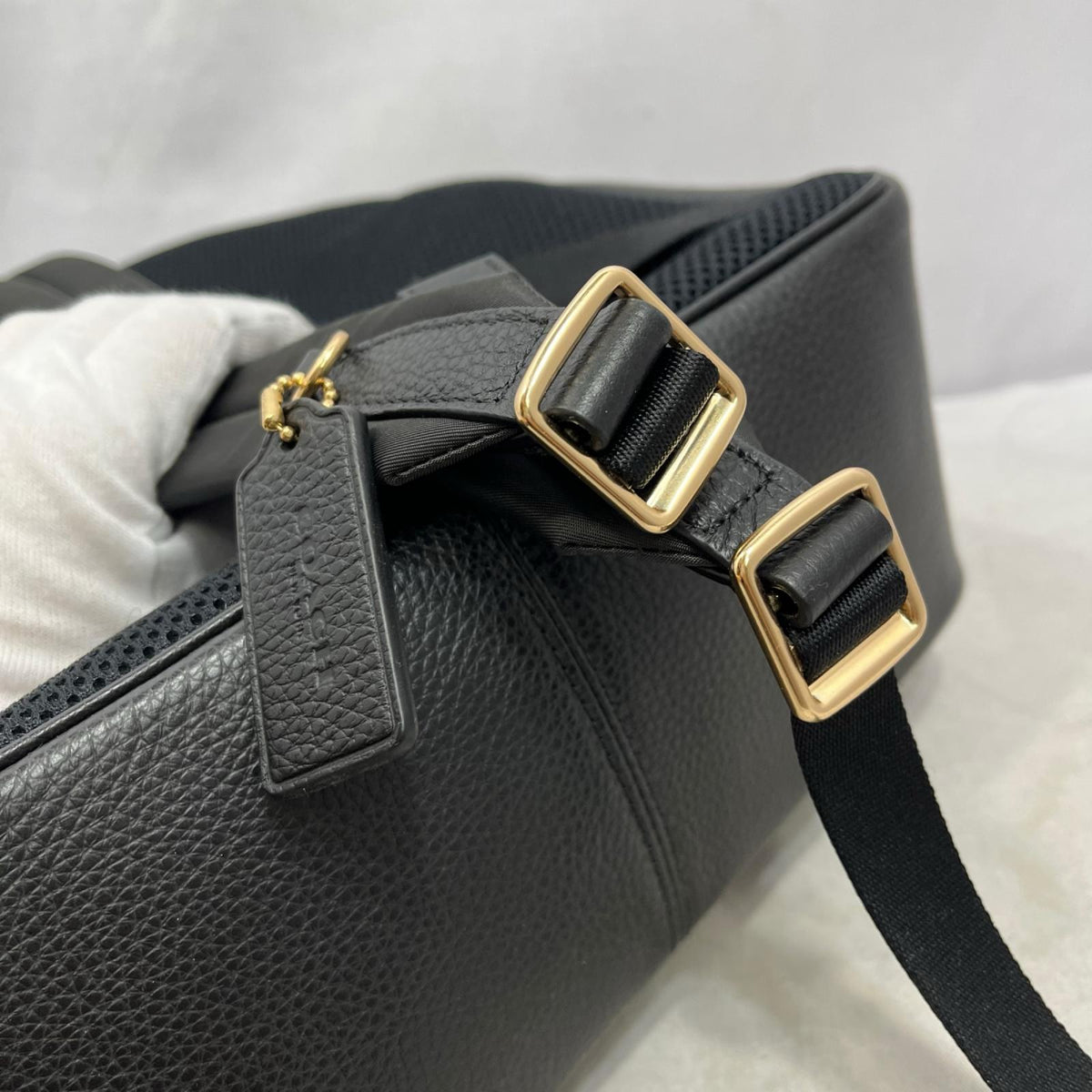 COACH ｼｸﾞﾈﾁｬｰ ﾘｭｯｸｻｯｸ ﾌﾞﾗｳﾝ CZ176