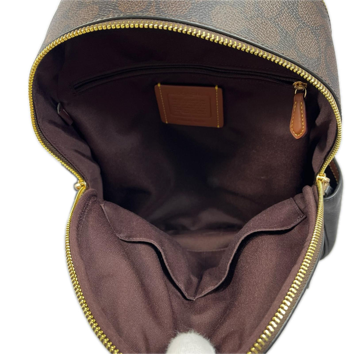 COACH ｼｸﾞﾈﾁｬｰ ﾘｭｯｸｻｯｸ ﾌﾞﾗｳﾝ CZ176