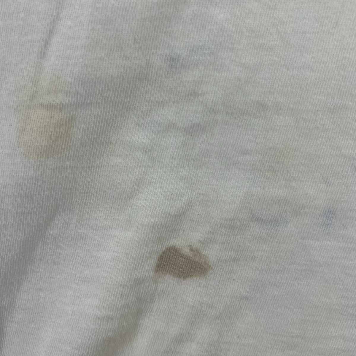 半袖Ｔシャツ ランタグ 60s PRINCETON TEE (46) ホワイト