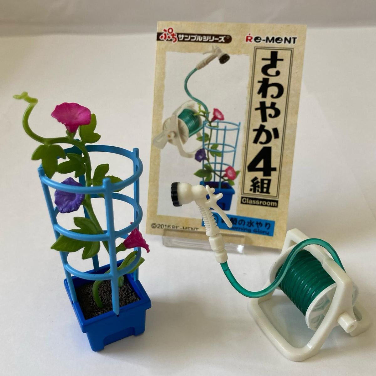 ぷちサンプル さわやか4組 ②朝顔の水やり リーメント