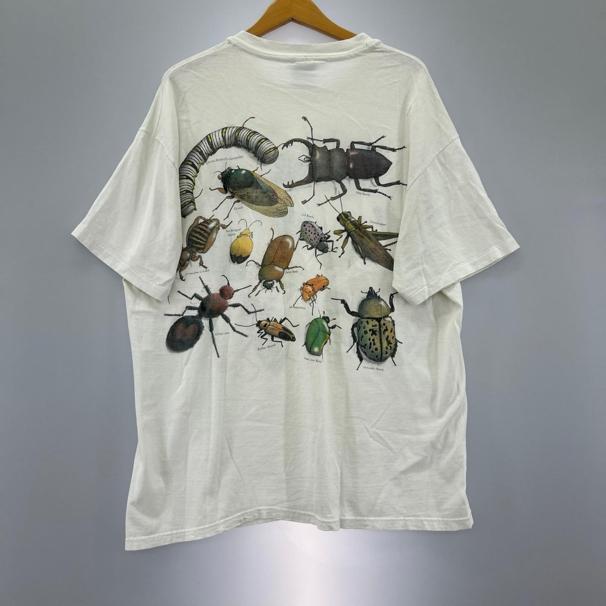 半袖Ｔシャツ Hanes BEEFY 二枚タグ 90s 昆虫大集合 ホワイト