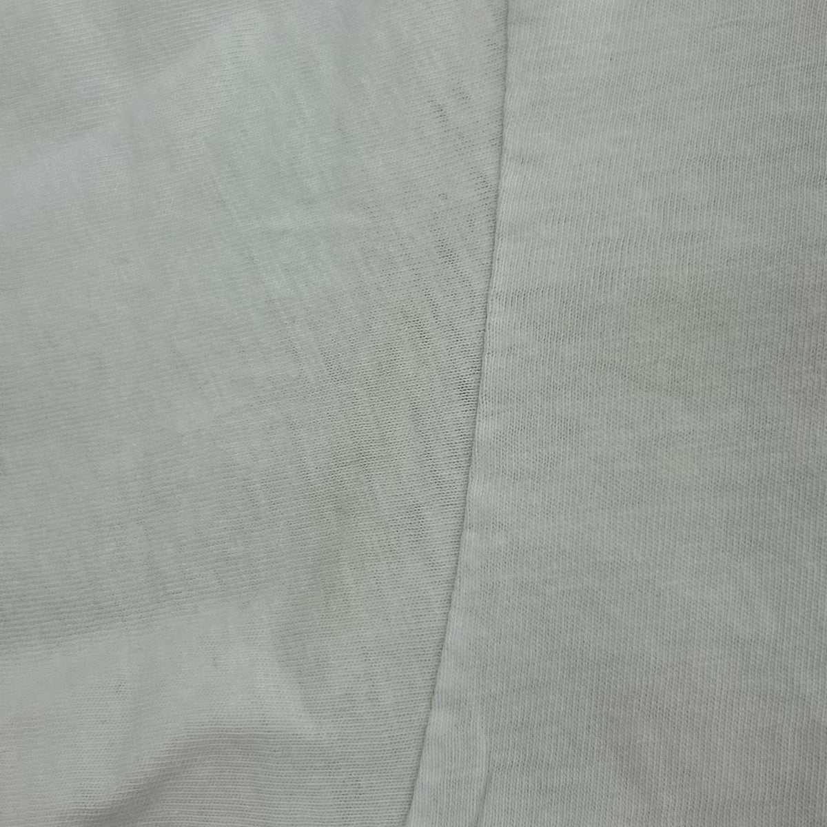 半袖Ｔシャツ Hanes BEEFY 二枚タグ 90s 昆虫大集合 ホワイト