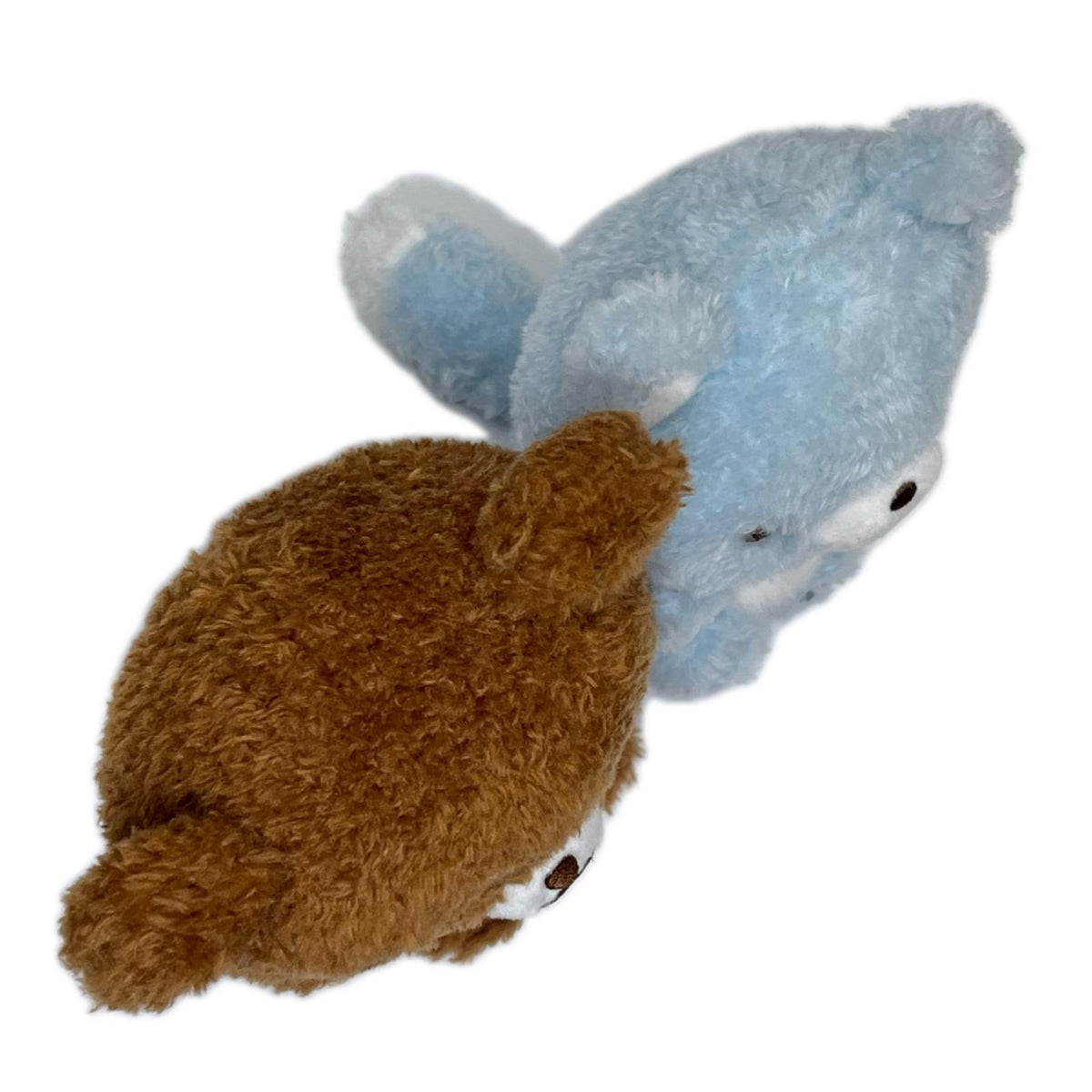 チャイロイコグマとアオイコオオカミ なかよしぬいぐるみ リラックマ サンエックス フィギュア/グッズ