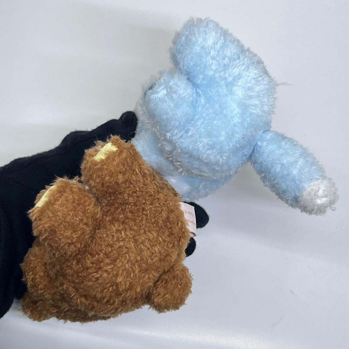 チャイロイコグマとアオイコオオカミ なかよしぬいぐるみ リラックマ サンエックス フィギュア/グッズ