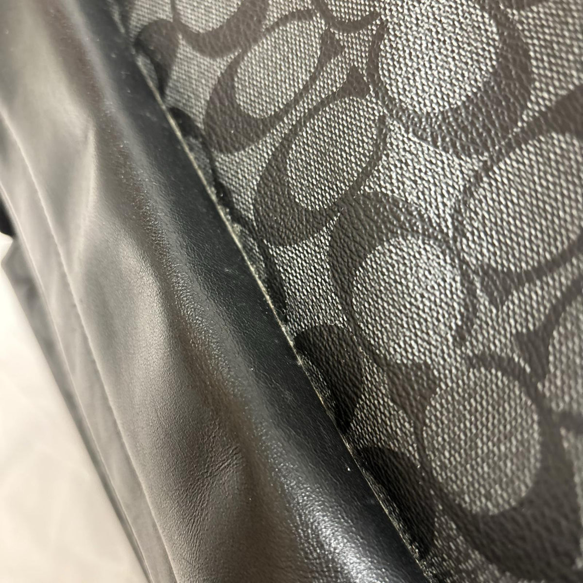 シグネチャー バックパック