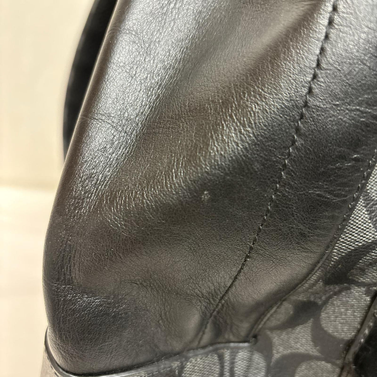 シグネチャー バックパック