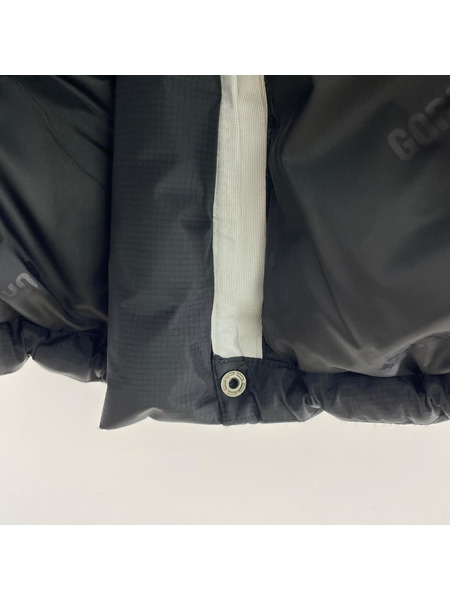 Supreme ダウンジャケット 19AW/GORE-TEX 700-Fill Down Parka/L