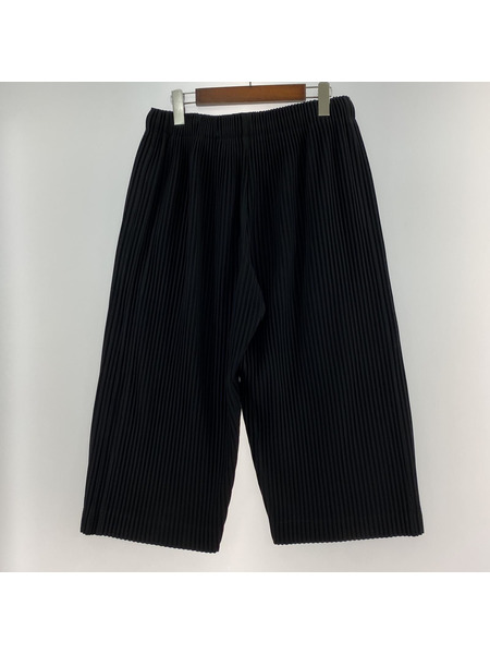 20ss ISSEY MIYAKE HOMME PLISSE プリーツパンツ BLK (2)