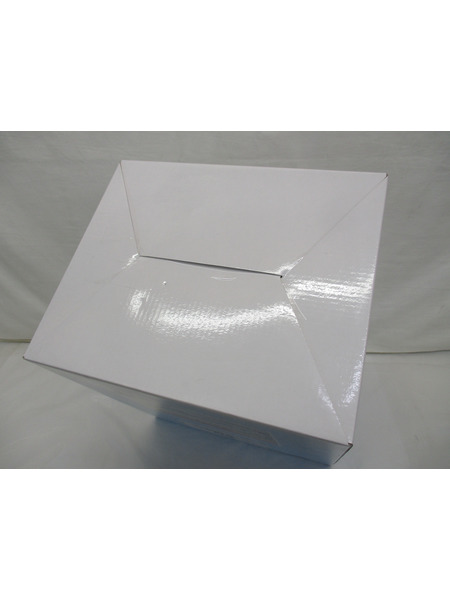 一番くじ リゼロ A賞 レム I will remember this day