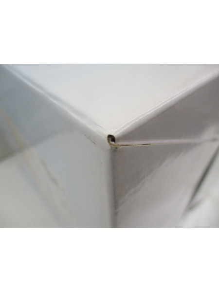 一番くじ リゼロ A賞 レム I will remember this day