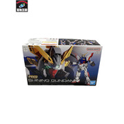 シャイニングガンダム   機動武闘伝Gガンダム RG