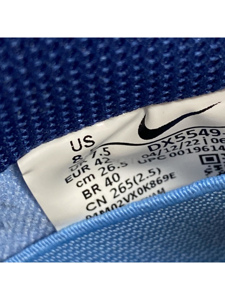NIKE SB スニーカー Dunk Low Why So Sad Coastal Blue