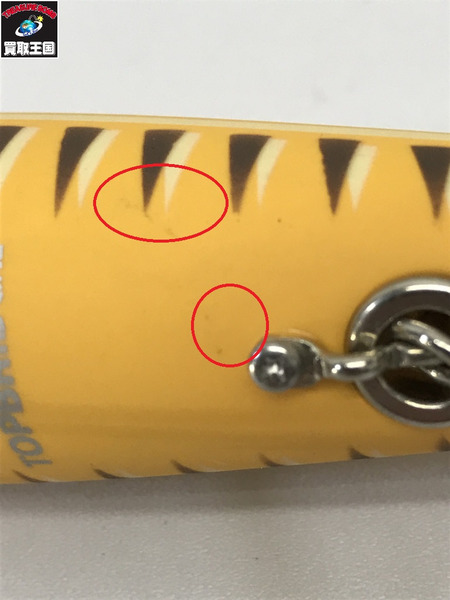 トップブリッジ　アラパイマ