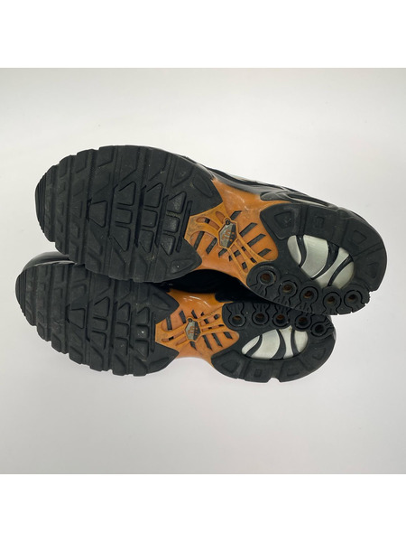NIKE スニーカー NIKE Nike Air Max Plus FN6949-400 28cm