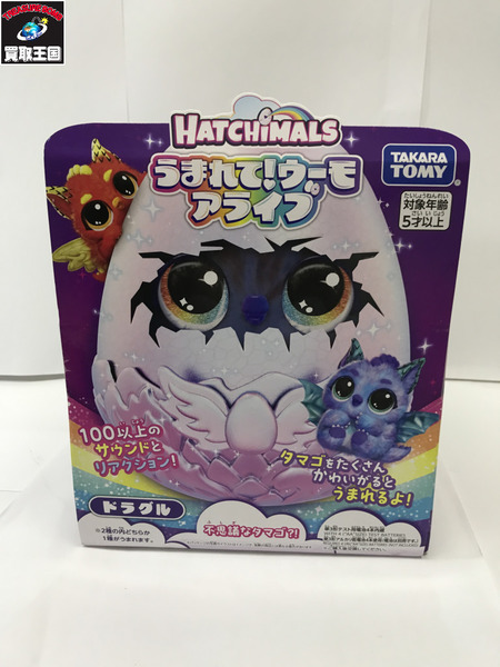 HATCHIMALS うまれてウーモ　アライブ(ドラグル)