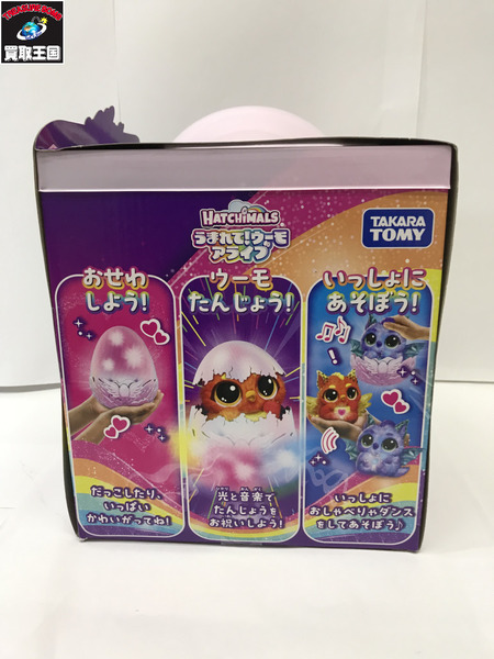 HATCHIMALS うまれてウーモ　アライブ(ドラグル)