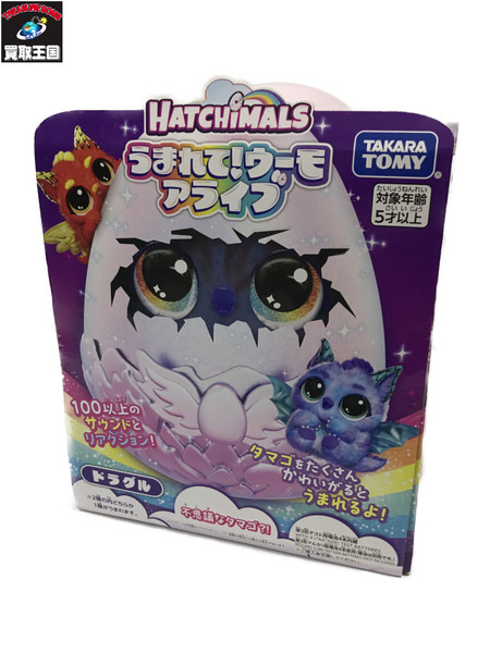 HATCHIMALS うまれてウーモ　アライブ(ドラグル)