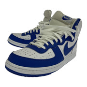 NIKE TERMINATOR HIGH BLUE 28.0cm US10