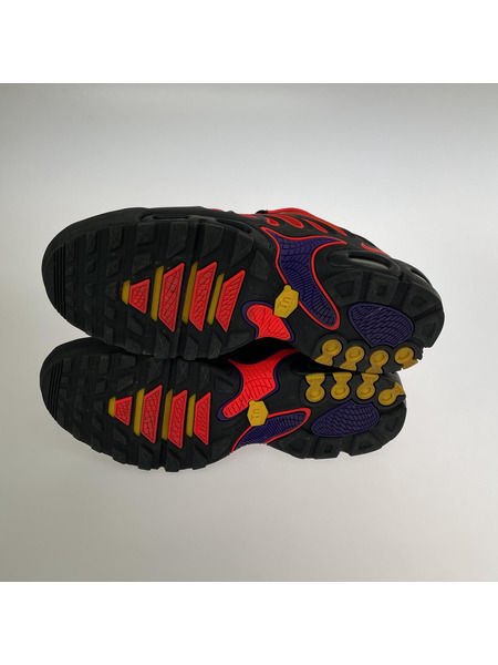 Nike Air Max Plus Drift All Day (28cm)