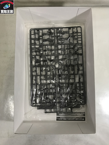 ガンプラ RG 1/144 クロスボーン・ガンダムX1 クリアカラーVer.