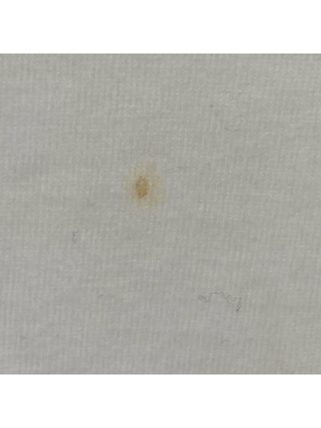 SAINT MICHAEL 半袖Tシャツ・カットソー BORN SAINT Tサyツ