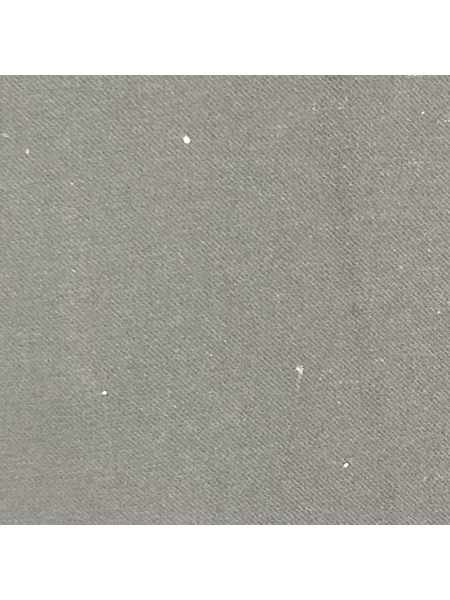 ENFOLD 半袖Tシャツ・カットソー Comfortable Twill BIG T/SHIRT