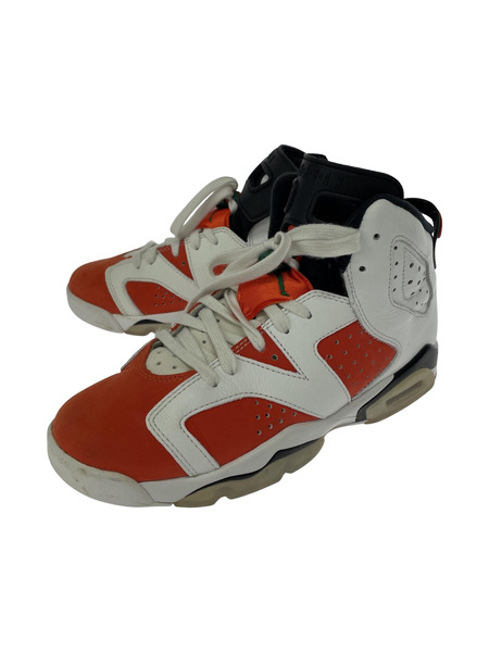 NIKE　AIR JORDAN 6 RETRO BG