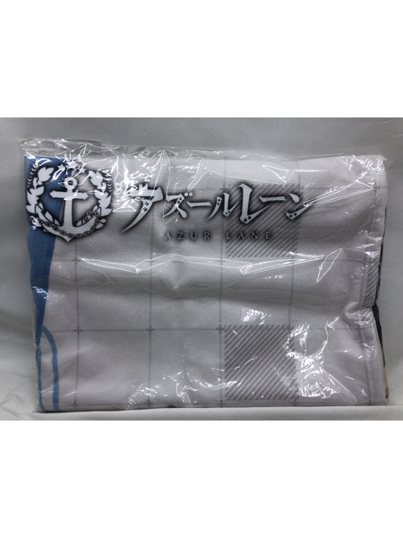 その他グッズ 美少女その他 綾波/微速戦闘姿勢 タオルケット