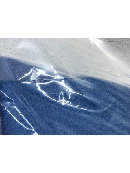 その他グッズ 美少女その他 信濃/雅夢の白浜 タオルケット