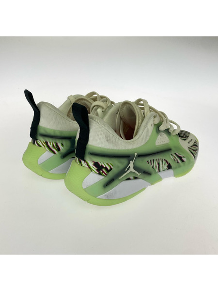 NIKE スニーカー WMNS JORDAN HEIR PF 26cm