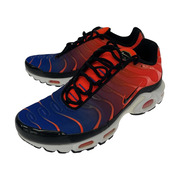 NIKE AIR MAX Plus Gradient Pack Total Crimson 28.0