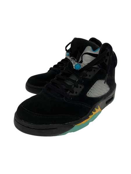 NIKE AIR JORDAN5 (25.5)[値下]